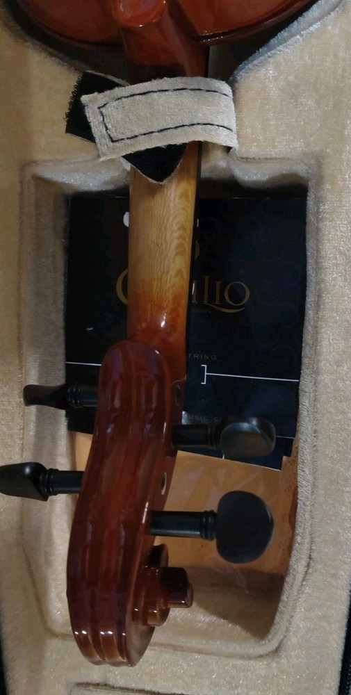 cecilio Violin Excellent Condition