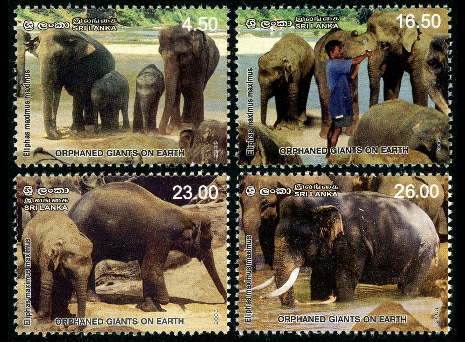 Sri Lanka Mint Stamp Orphaned Giants Earth Elephant Orphanage Pinnawala set MNH