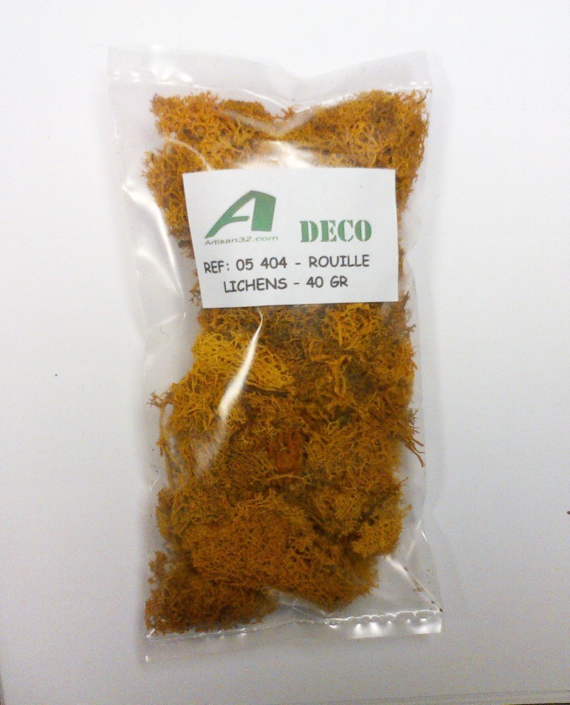 LICHEN ROUILLE - Artisan32 - 05404