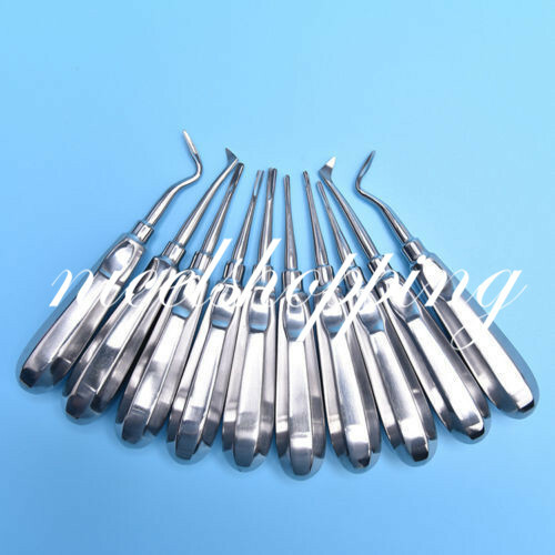 10Pcs/set Dental Stainless Luxation Tooth Extraction Root Elevators Luxating Ele