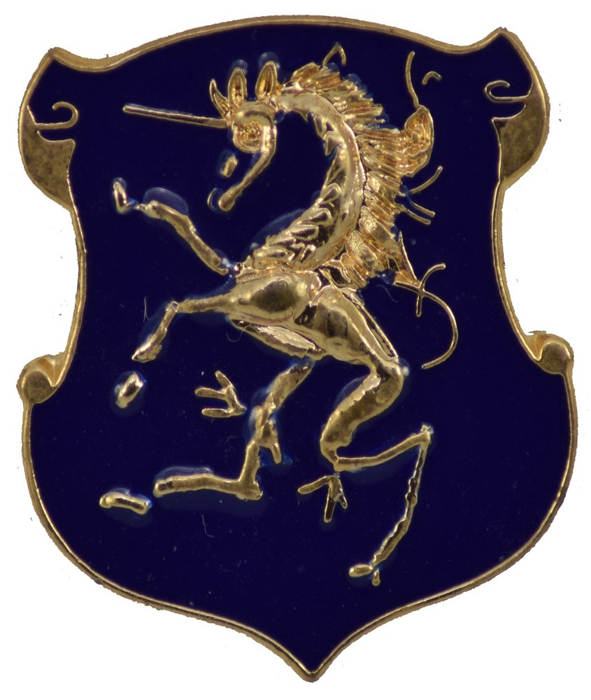 6TH CAV HAT PIN