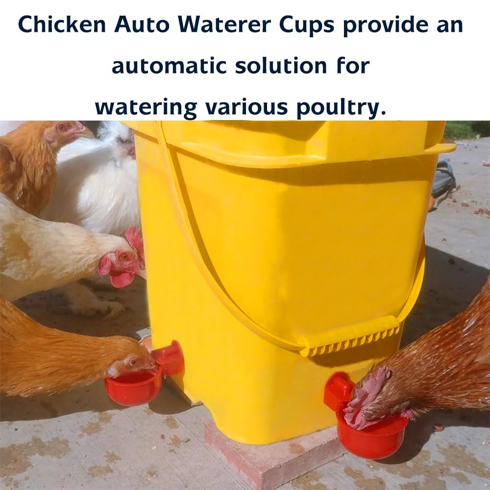 Large Automatic Chicken Waterer Cups, 6pcs Turkey Feeder Red Light