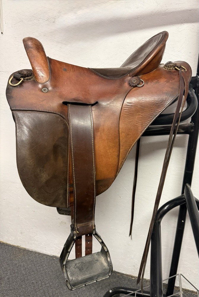 Specialized Saddles 15”.