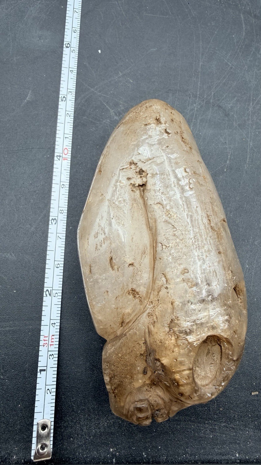 Elongated Crystal Skull From Tula Hidalgo Ojuelos