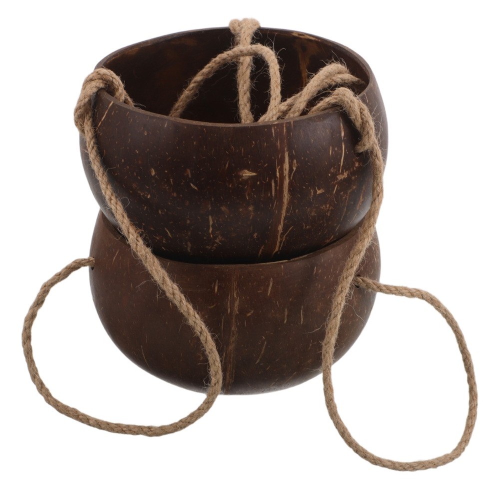 Coconut Shell Flower Pot: 2-Tier Hanging Wall Planter - Coconut Shell Planter