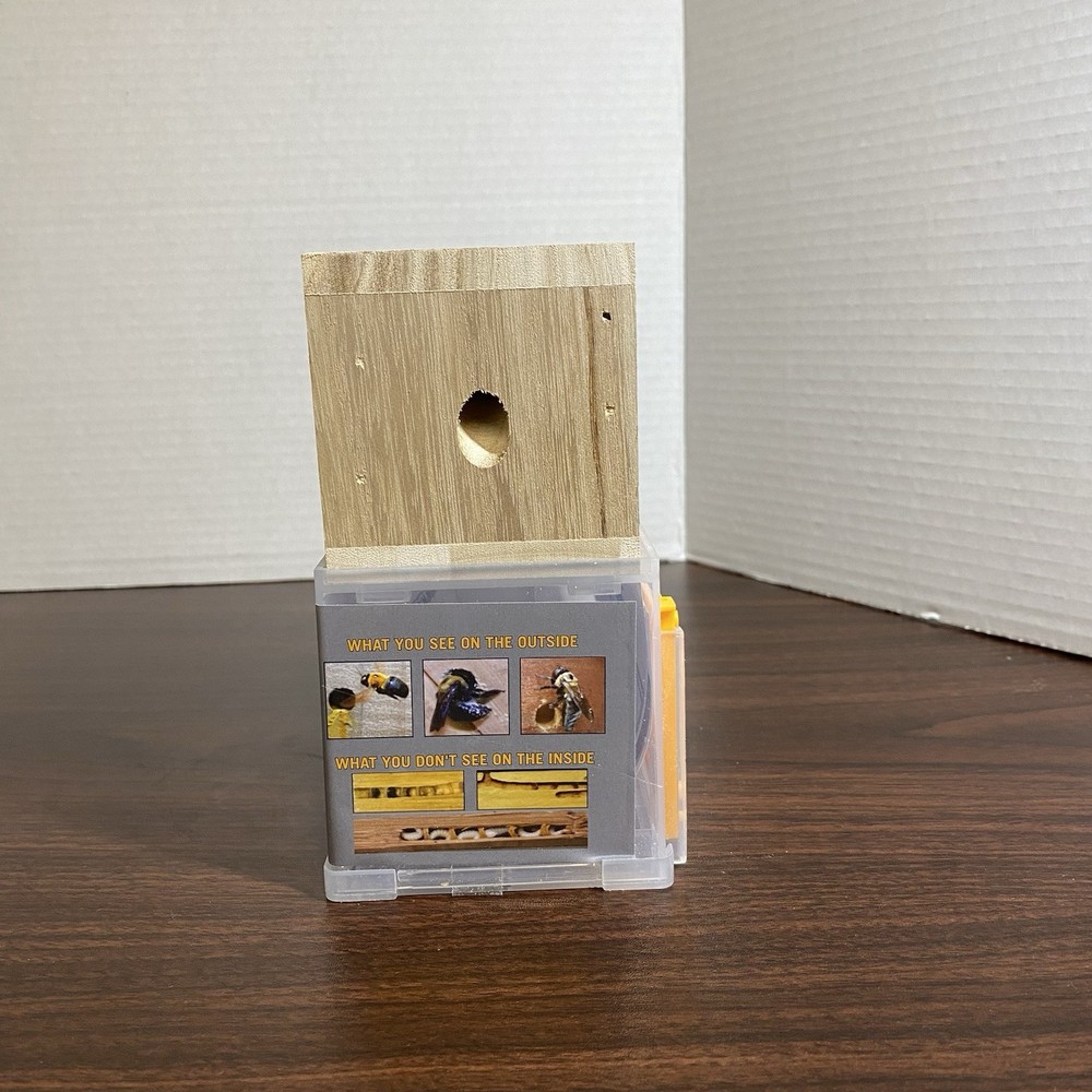 Bees 'N Things Outdoor Hanging Carpenter Bee Trap