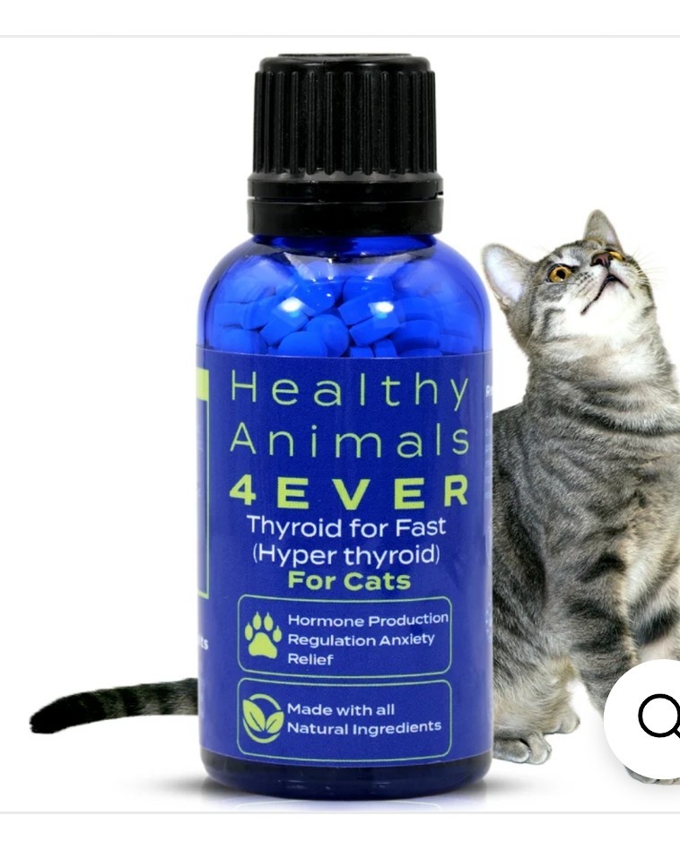 Healthy Animals 4ever Herbal Thyroid Supplement For Cats