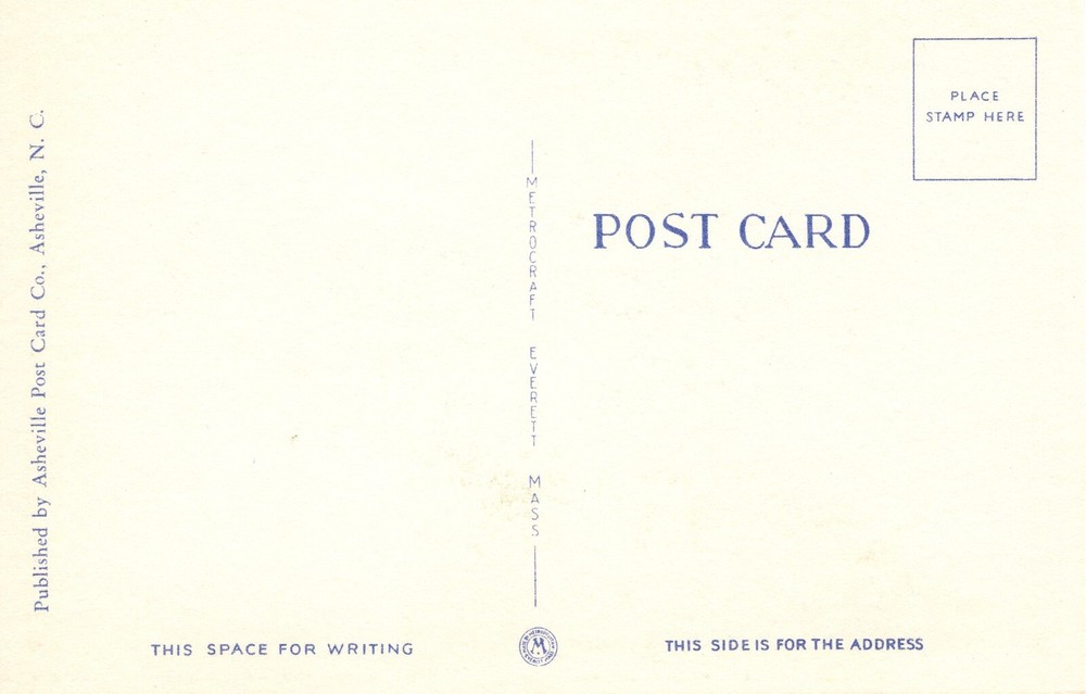 CAN'T "BEAR" TO LEAVE - PC5806