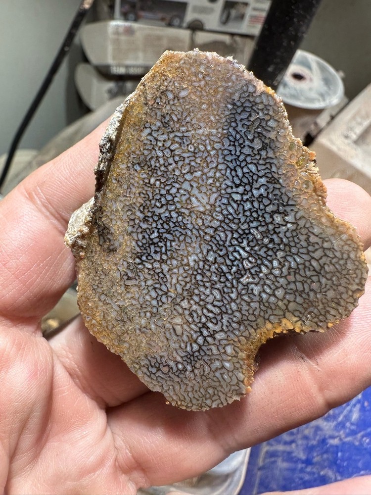 Dinosaur bone rough **hxtled slab.
