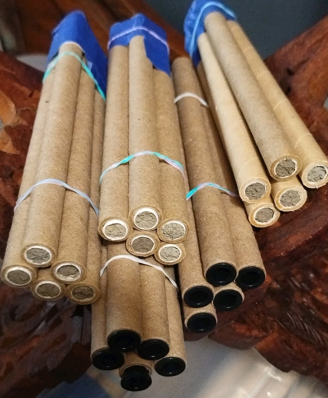 GARDENER GIFT! 5 Tubes LIVE 2025 BLUE ORCHARD MASON BEES COCOONS Spring Emerge