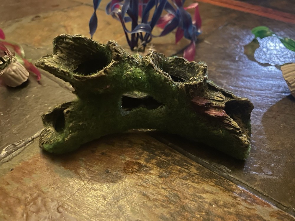Fish Tank Accessories