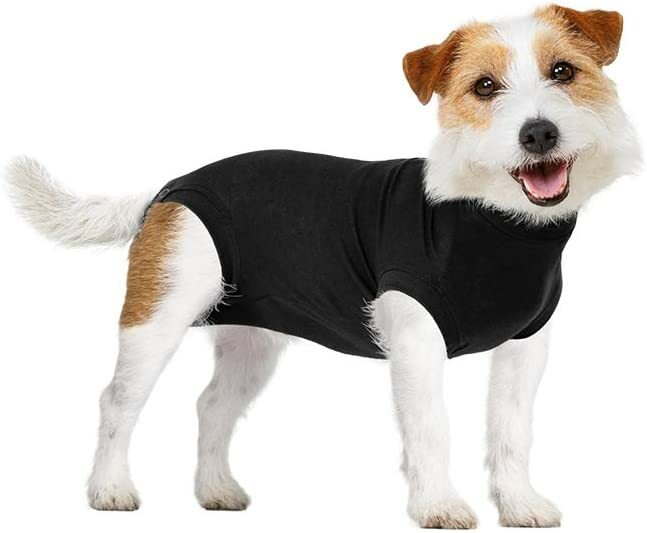 Suitical Recovery Suit Dog, Small , Black