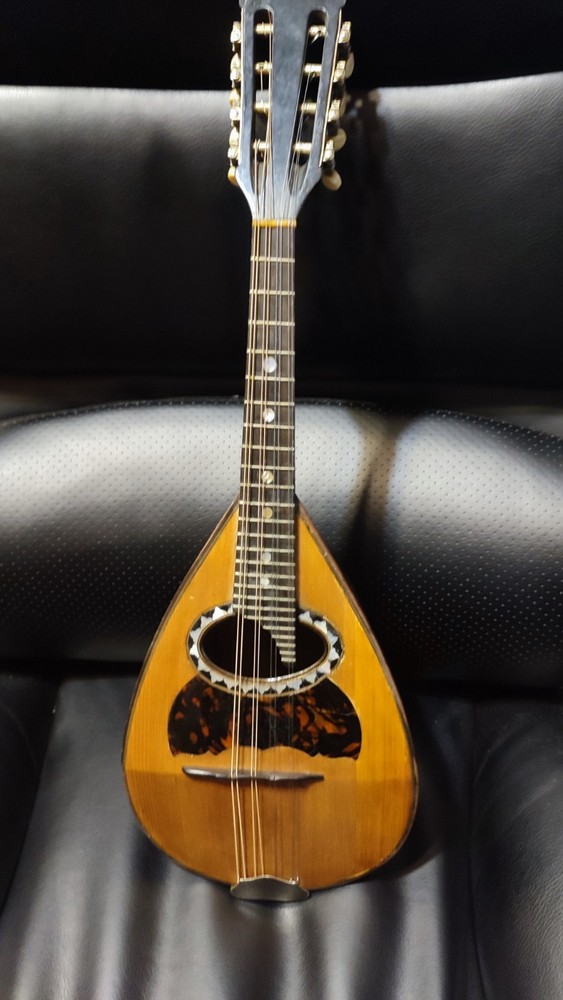 1904 Luigi Embergher Mandolin