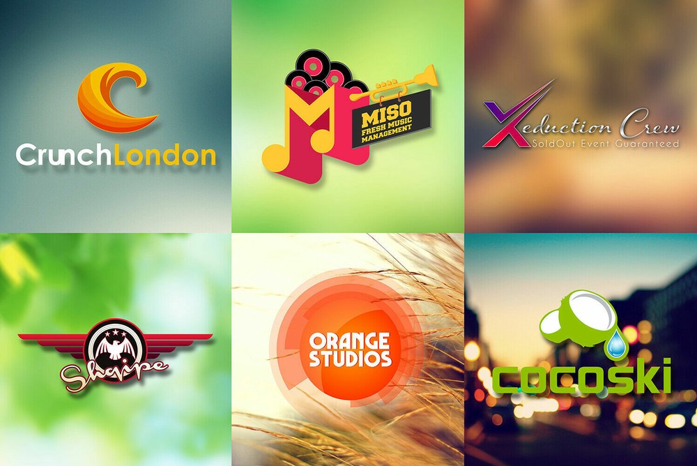 I will design an outstanding Logo Design