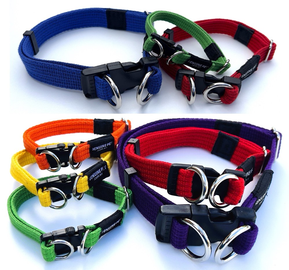 Quality Dog Collar Soft Webbing Double Up Secure Collars Lead Leash