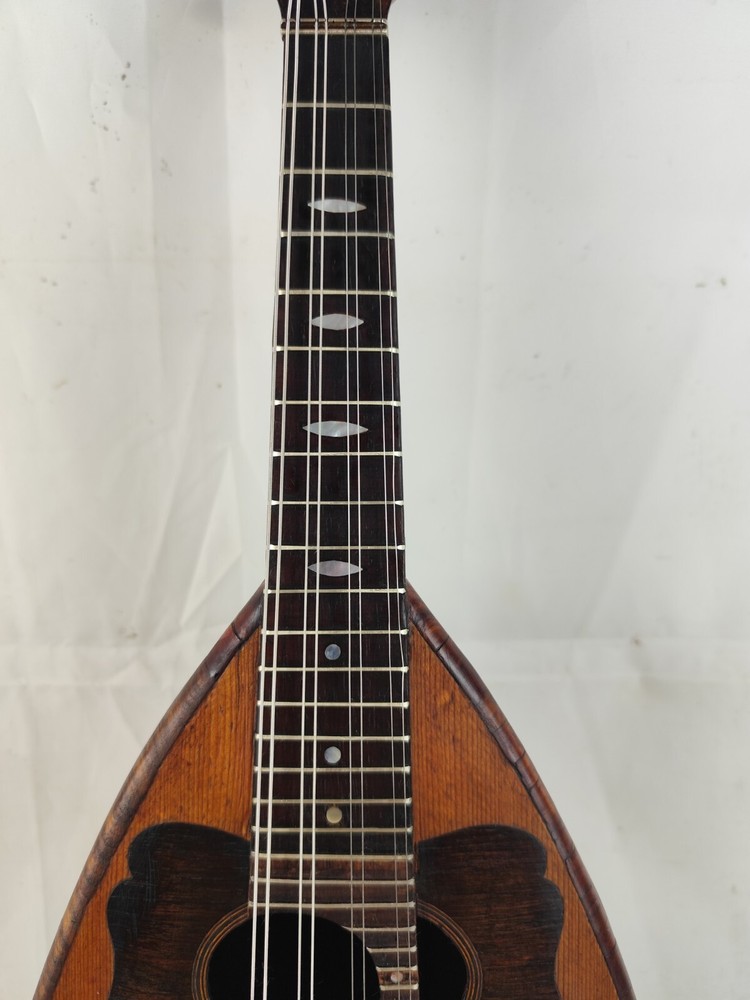 Mandolin 4/4 F. De Cristofaro 1900 Naples 曼陀林 만돌린マンドリン
