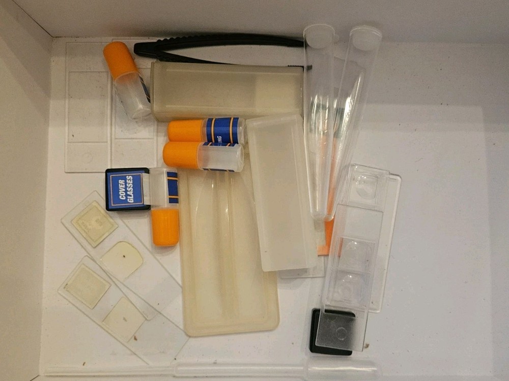 Vintage Prepared Specimen Slides