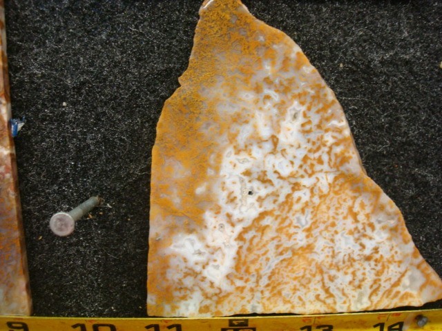 riveria plume slabs