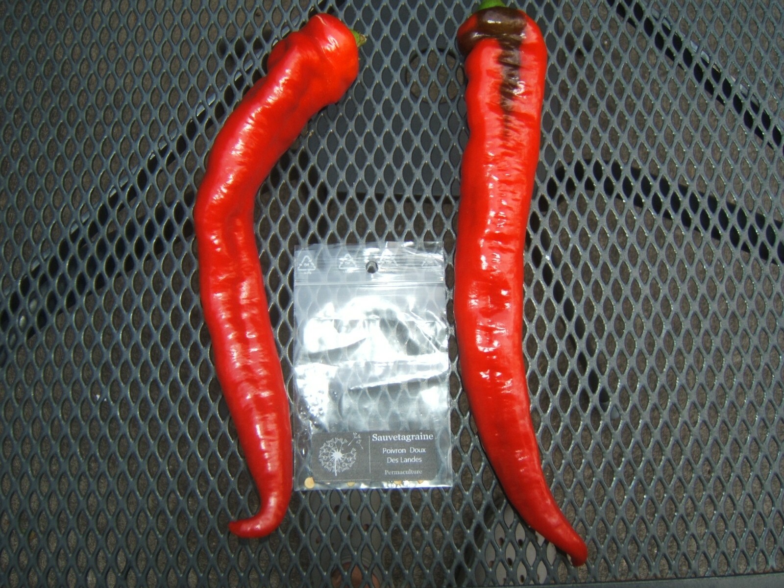 Doux des Landes Fresh Organically Grown Heirloom Sweet Pepper Seeds (20)