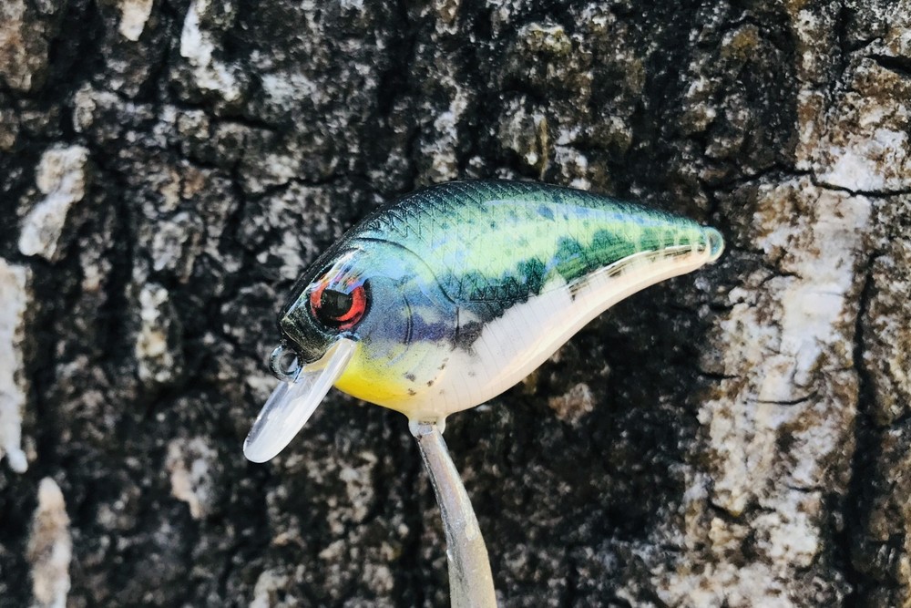 SPEEDBAITS Custom Airbrushed Crankbait