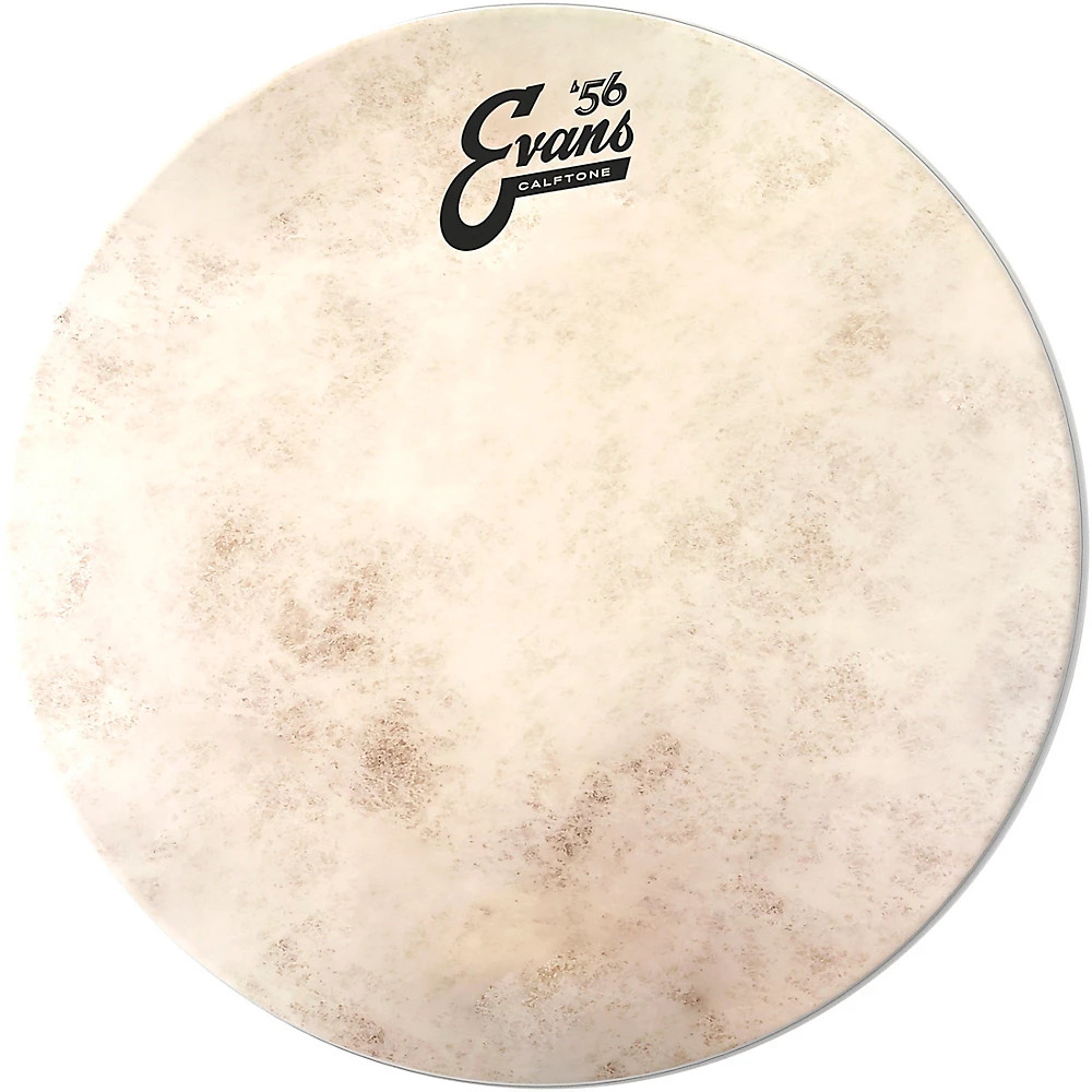 Evans Calftone Snare Tune Up Kit