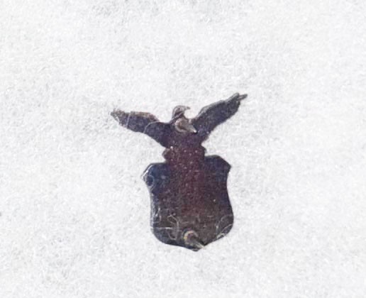 USAF Aide To Vice President Collar Device