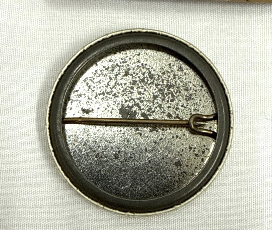 Vintage Pickle Power Pinback Button Pickle Power Science Class Sandwich Art!