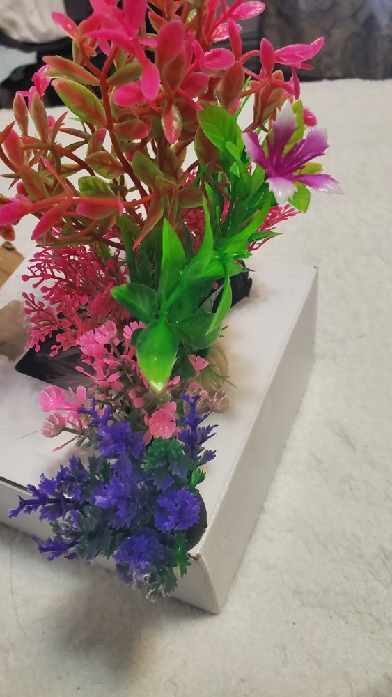 Decoracion Pecera