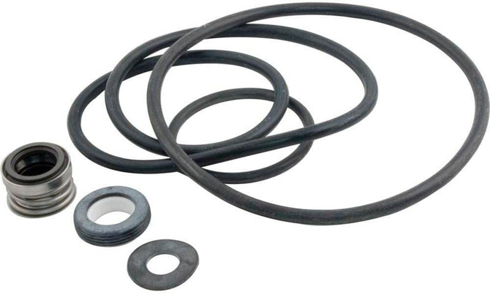 Seal Kit, Sta-Rite Dynaglas, Dynapro, Dynajet