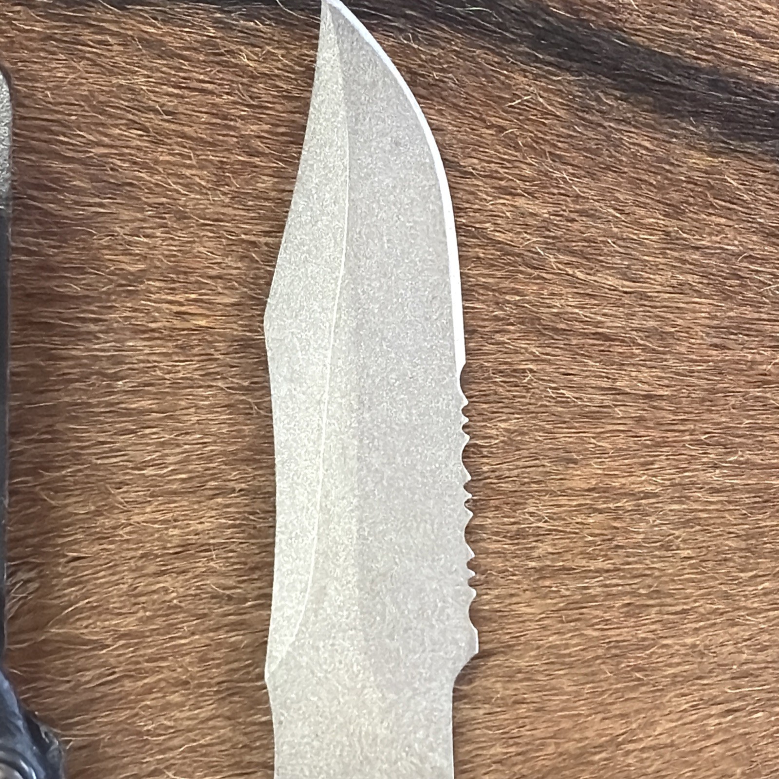 SEKI-JAPAN SOG SEAL PUP SATIN FINISH FIXED BLADE KNIFE