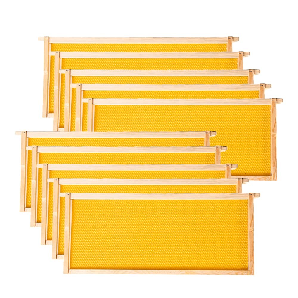 Deep Brood Beehive Frames with Wax Foundation,10 Pack Honey Bee Frames with 1