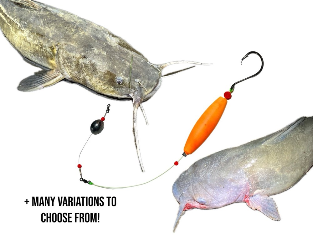 Catfish - Basic Bottom Float Rig Set Up - Santee Float Rig