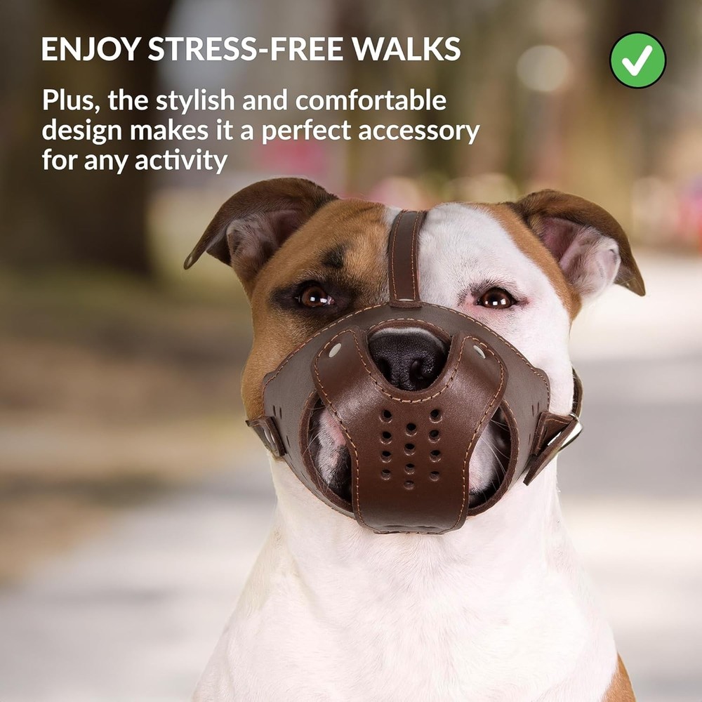 Pitbull Am Staff Basket Muzzle - Genuine Leather-