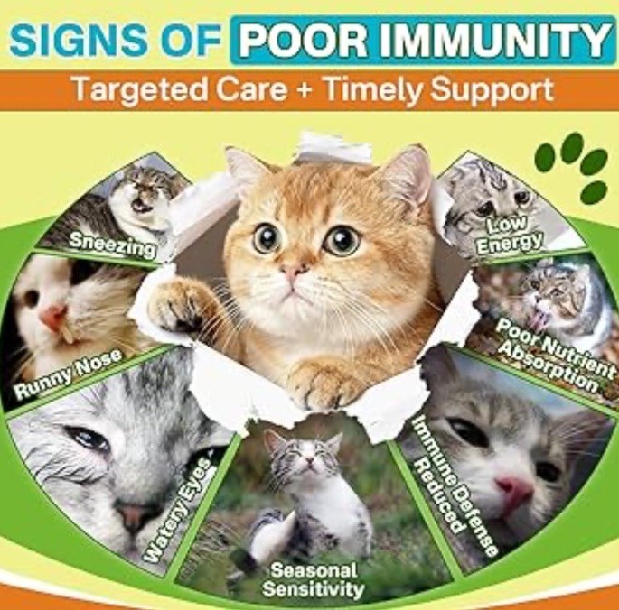 Lysine for Cats Drops