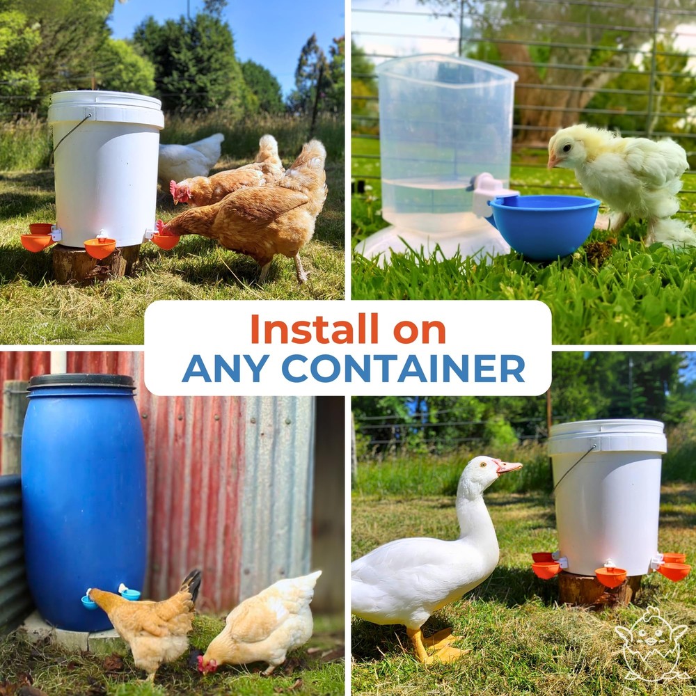 Lil Clucker - Blue Large Automatic Chicken Waterer Cups Suitable for Ducks, G...