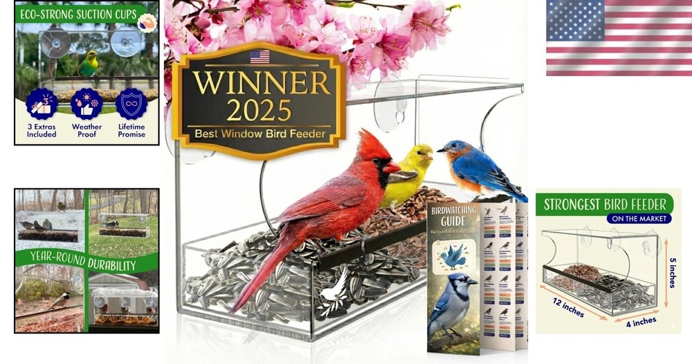 Durable Clear Bird Feeder for Outdoors