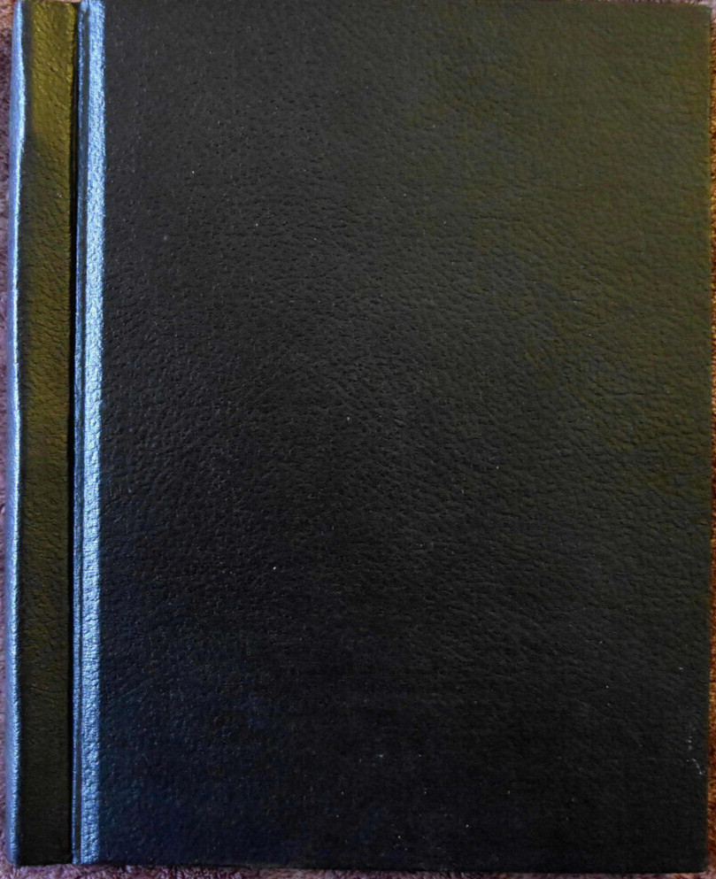 Michael Raffetto " Where The Bullet Impinges " Original Script