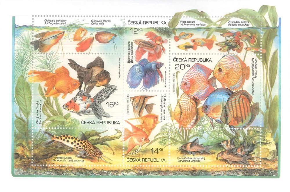 Czech Republic - Animal Breeding: Aquarium Fish