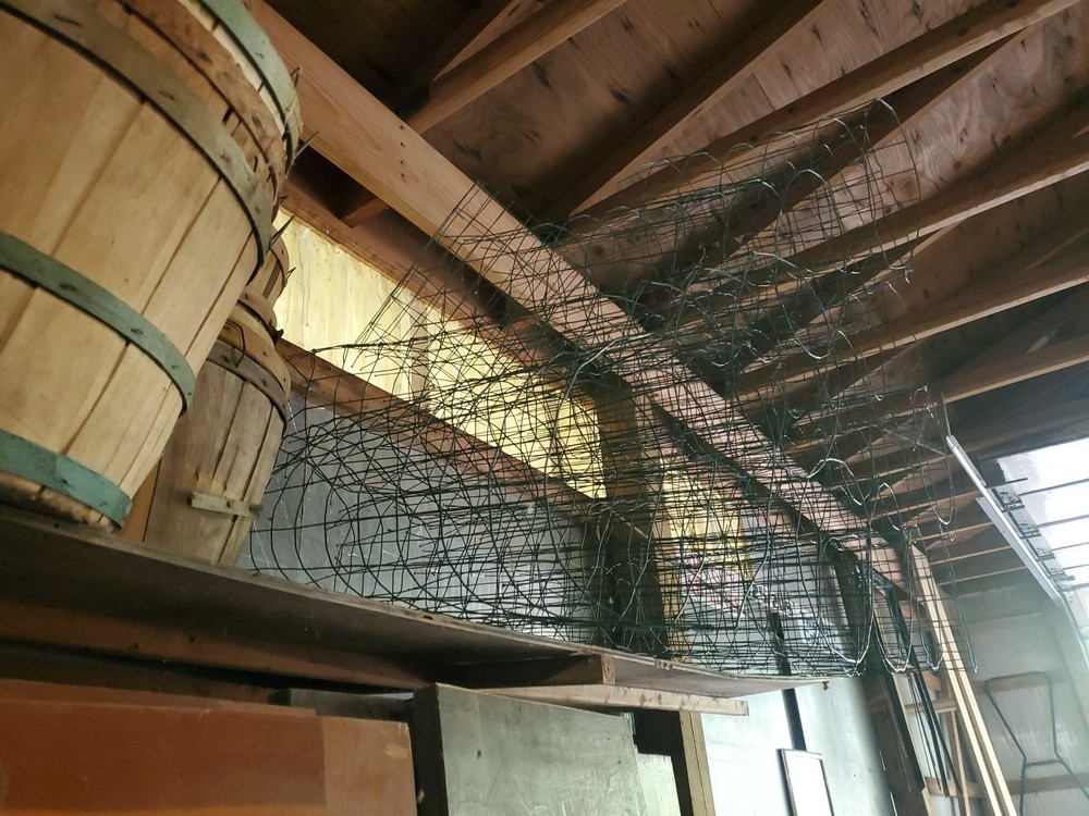 17 Round coated wire plant cages