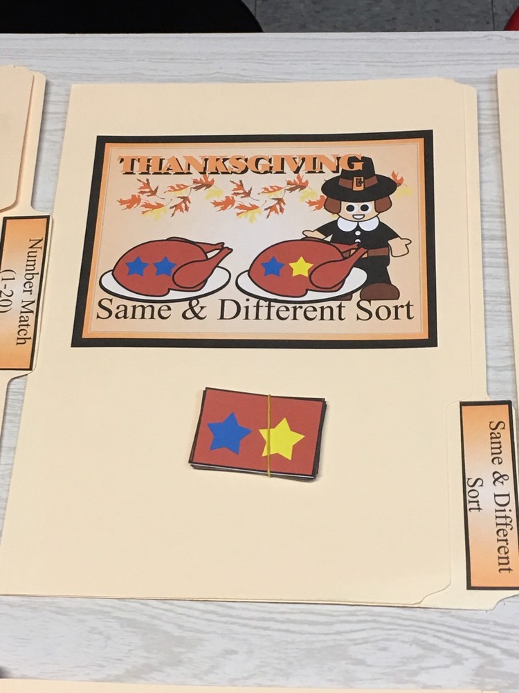 Thanksgiving - 5 File Folder Set - Activity Set - Teaching -