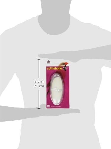 Medium 5-Inch Cuttlebone for Birds Natural Calcium Supplement