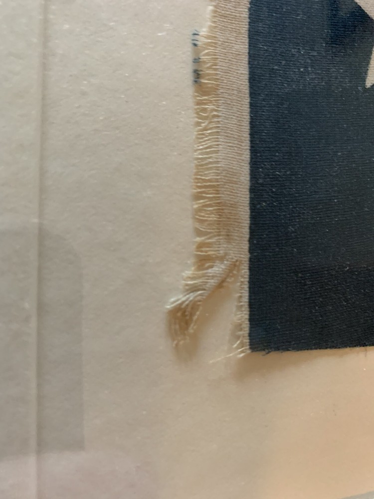 Early 1900s Texas Parade Flag