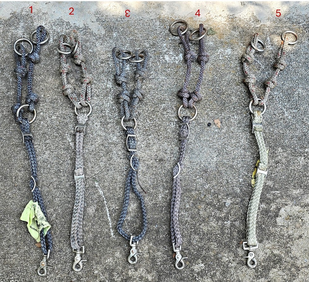 Used Nylon Training Forks with Conway Buckles and Trigger Snap