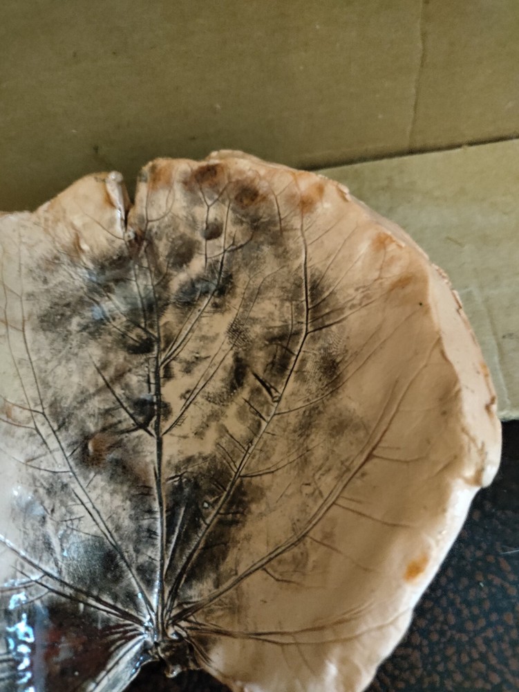 Hand Made & Signed Leaf Imprint Ash Tray