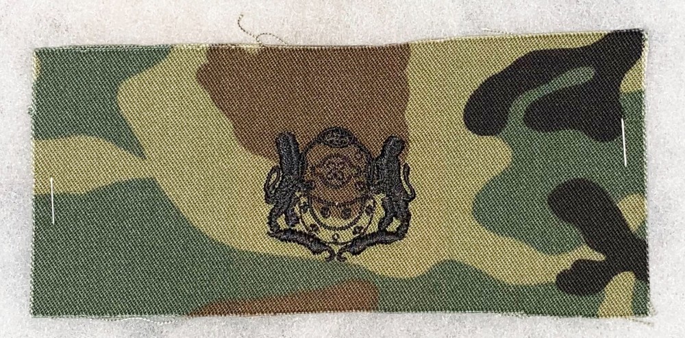 Singapore Scuba Divers Patch