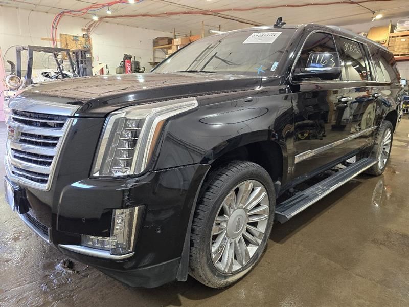 ESCALAESV 2017 Camera/Projector 590723