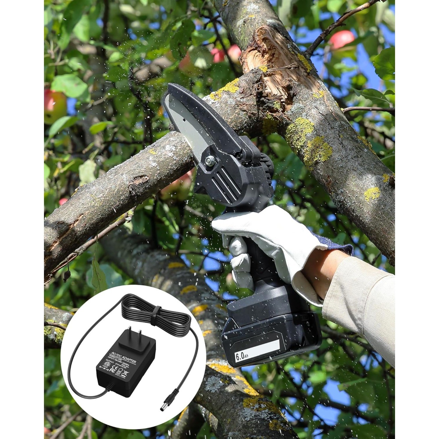 21V Charger for Jujubean, SEYVUM, DINSHARE, Eiruaw, Peektook, Licorne, O-Conn