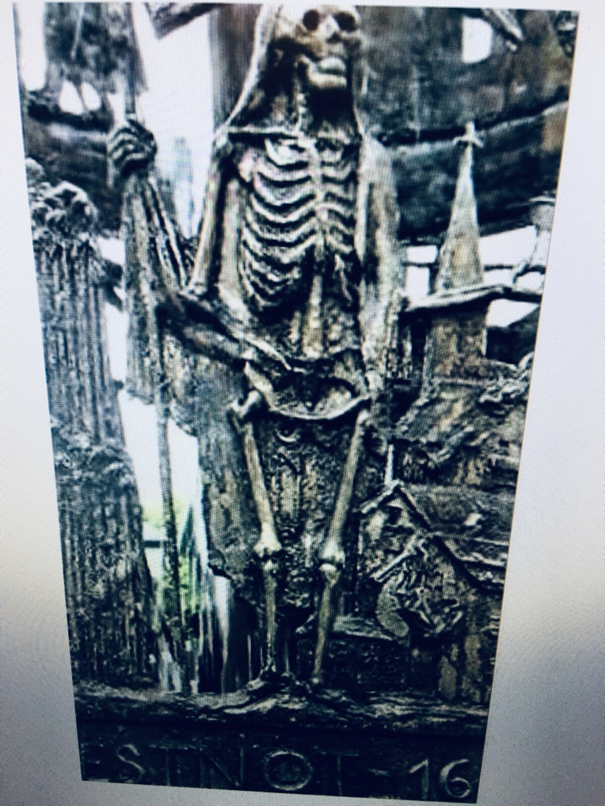 Bavarian "Black Death" Sourdough Starter YEAST 400 Year-Old History ACTIVE SOUR