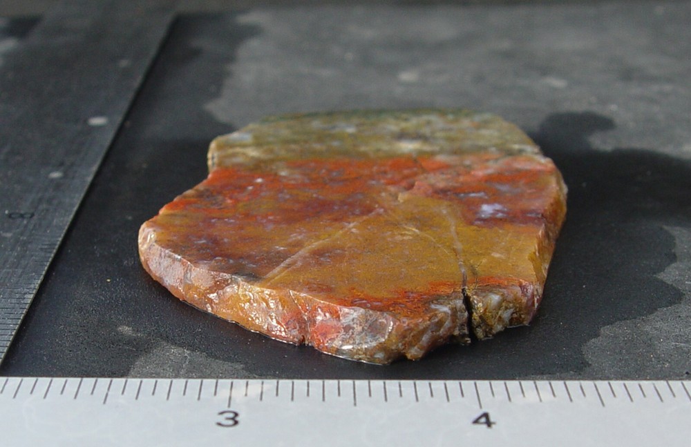 Macaw Agate from Mexico Lapidary Slab T826