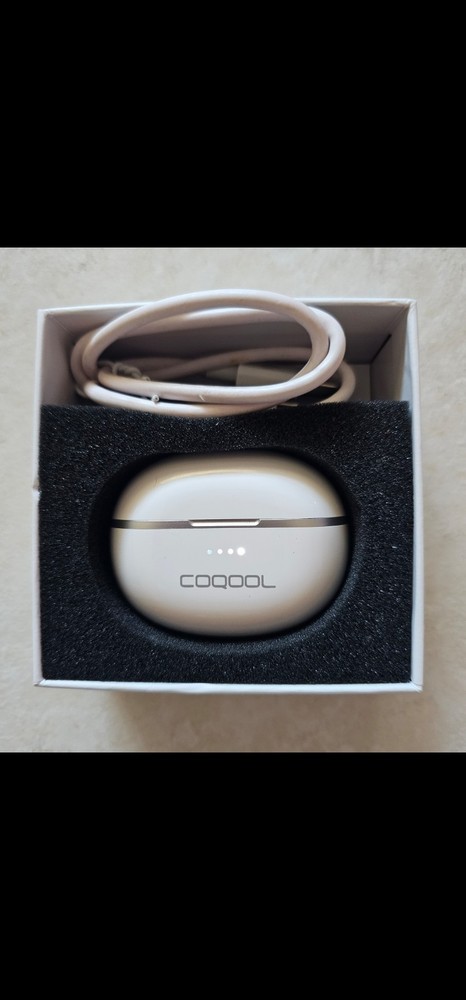 COQOOL in-ear Digital Hearing Amplifiers Devices w/charging Case Open Box